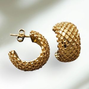 18k Gold Plated Stainless Steel Earrings